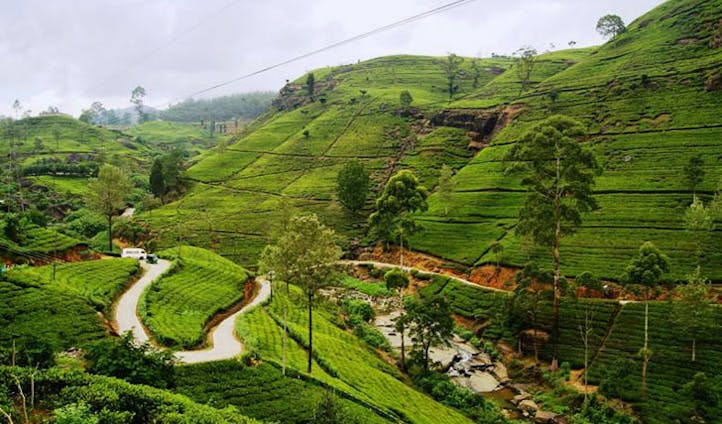 The highland tea trails of Sri Lanka