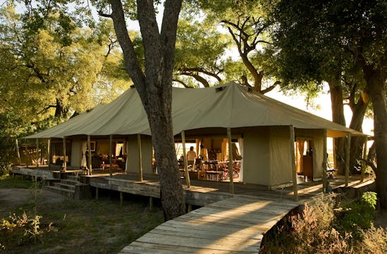 Zarafa Camp