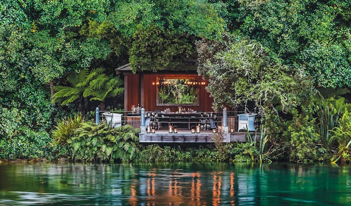Dine under a natural canopy in New Zealand