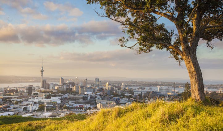 Spend time getting to know the cultural allures of Auckland