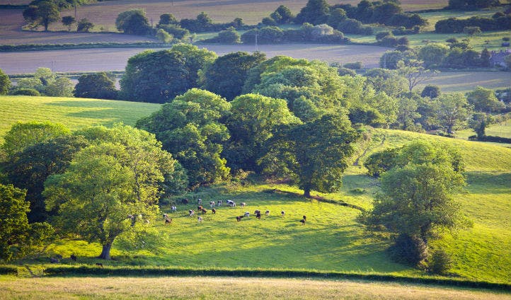 The stunning Cotswolds landscape