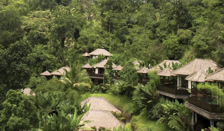 blending in with nature in ubud