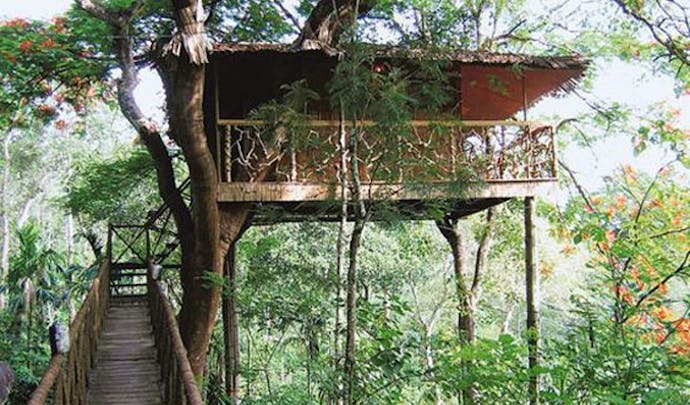 tree house, india