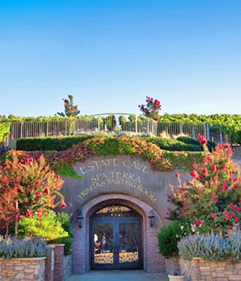 Explore the Vineyards at the Meritage Spa and Resort