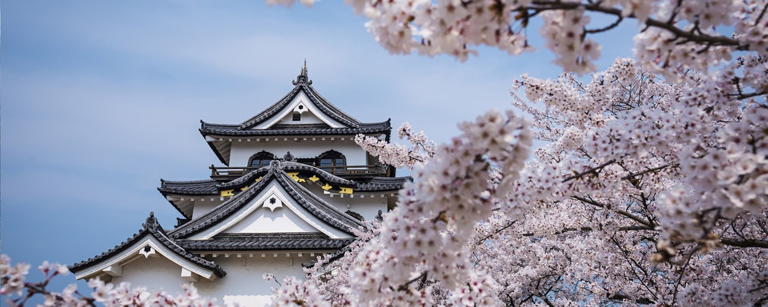 castle in japan with cherry blossom