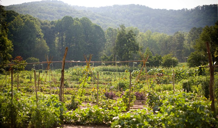 Blackberry Farm, Tennessee | Luxury Hotels in the USA