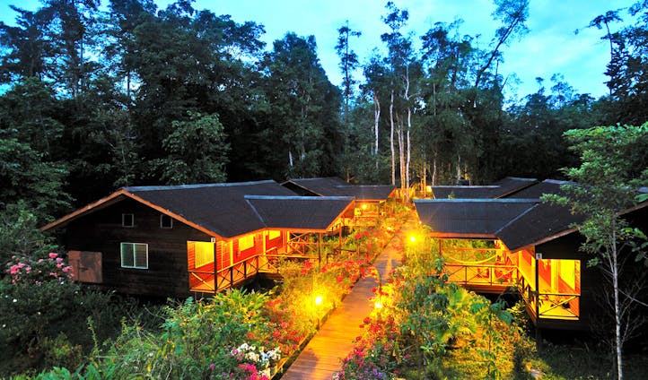 Abai Jungle Lodge