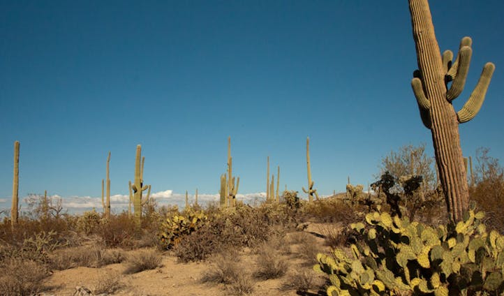 Desert of New Mexico