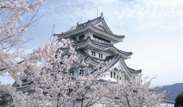Japan holiday - Kawashima Castle Tokushima