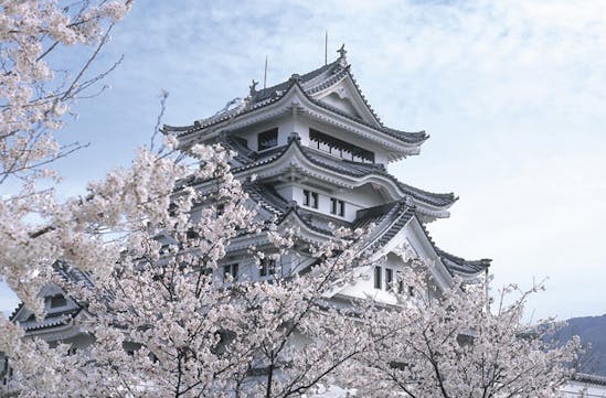 Japan holiday - Kawashima Castle Tokushima