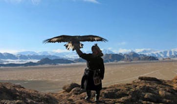 Mongolia hunt with eagles