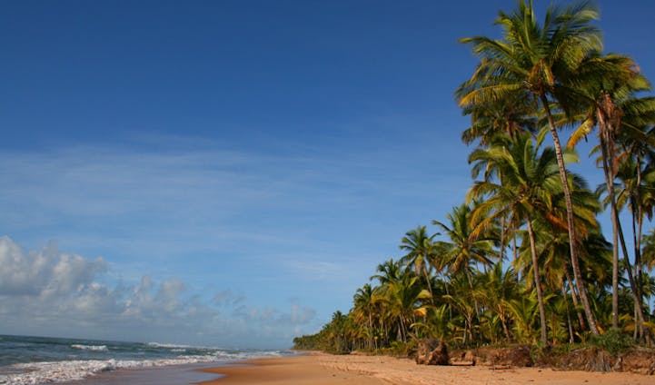In Brazil: Unspoiled Beach Fit for the Chic - The New York Times