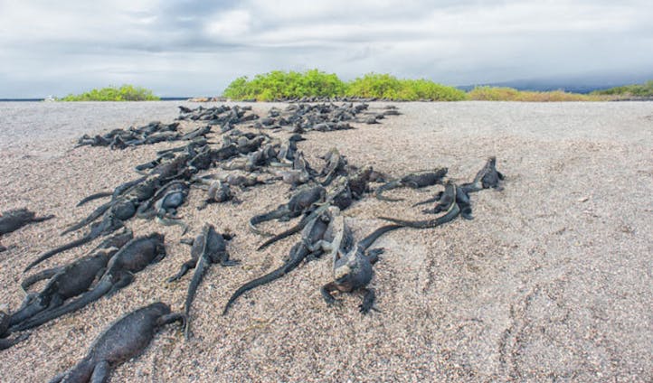 Luxury Holidays in the Galápagos Islands
