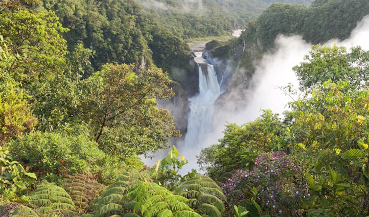 The Amazon rainforest San Rafael waterfall, Ecuador