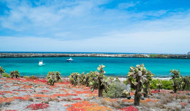 Luxury holidays in the Galapagos Galápagos Islands