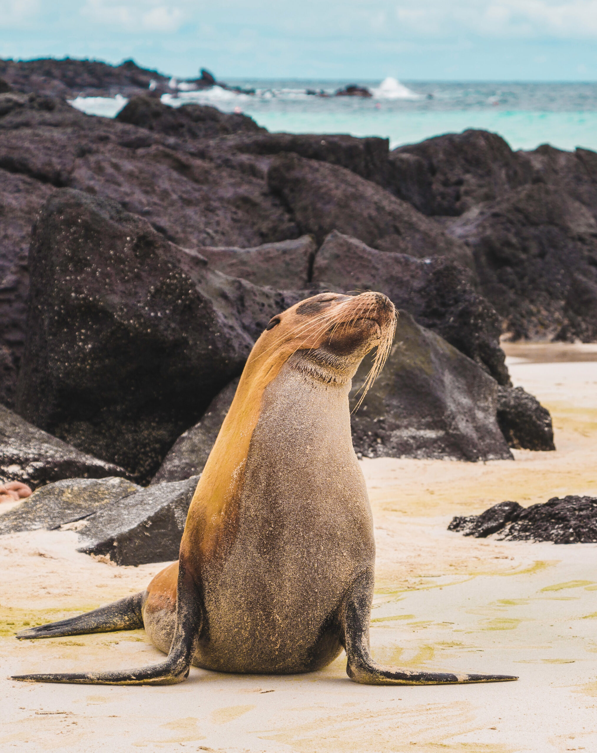 Ultimate Ecuador: Amazon, Andes & The Galápagos | Black Tomato