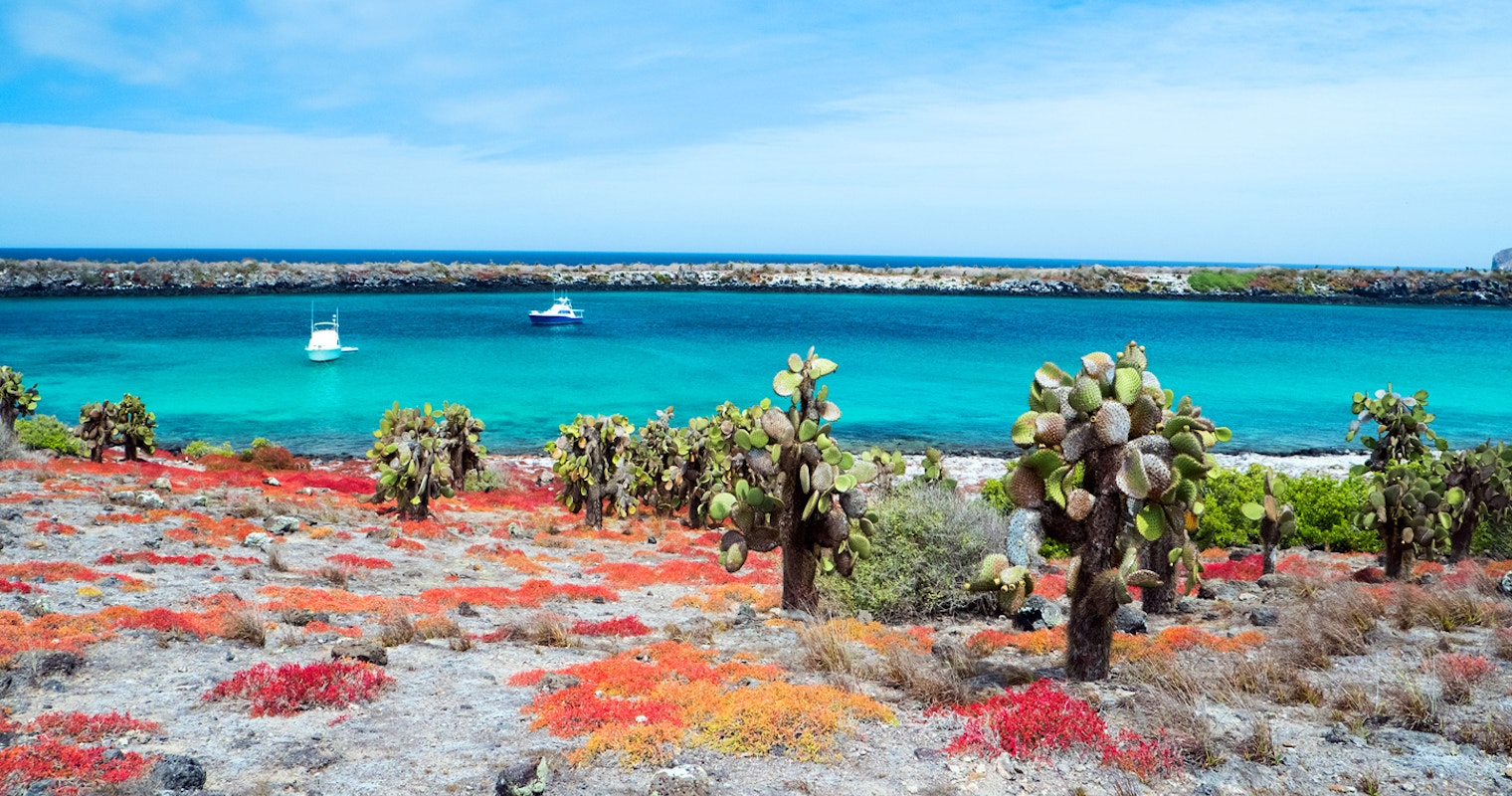 Ecuador & Galapagos: The Ultimate Destination for Every New Zealander - Exploring the Galapagos Islands