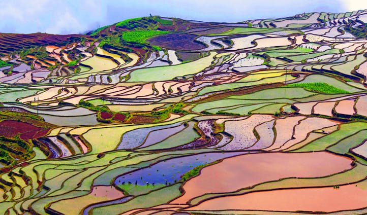 Rice terraces, Leijiang, China