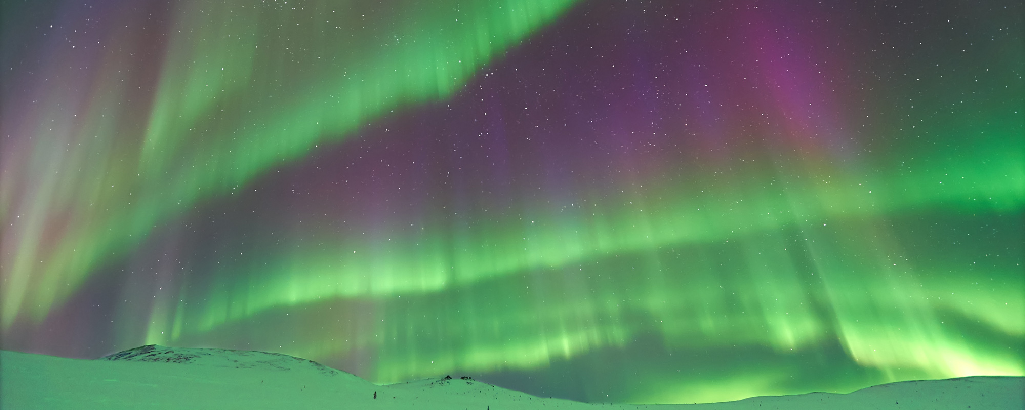 The Aurora Borealis And Aurora Australis | Black Tomato