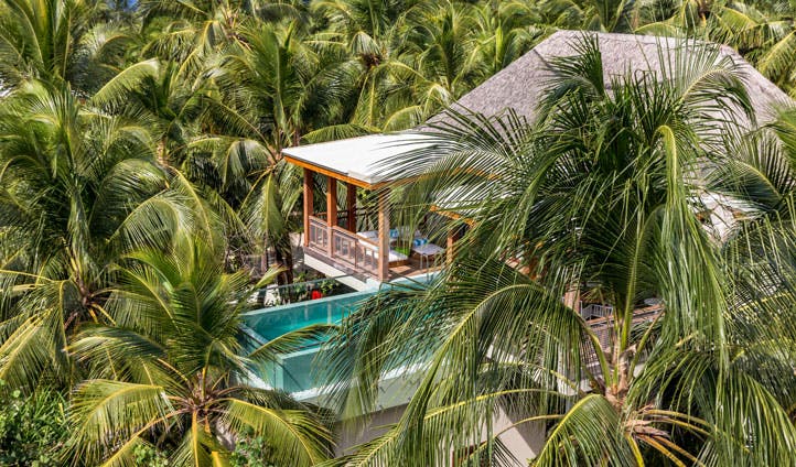 Treehouse, amilla fushi, maldives
