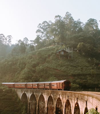 Train Journey through Sri Lanka