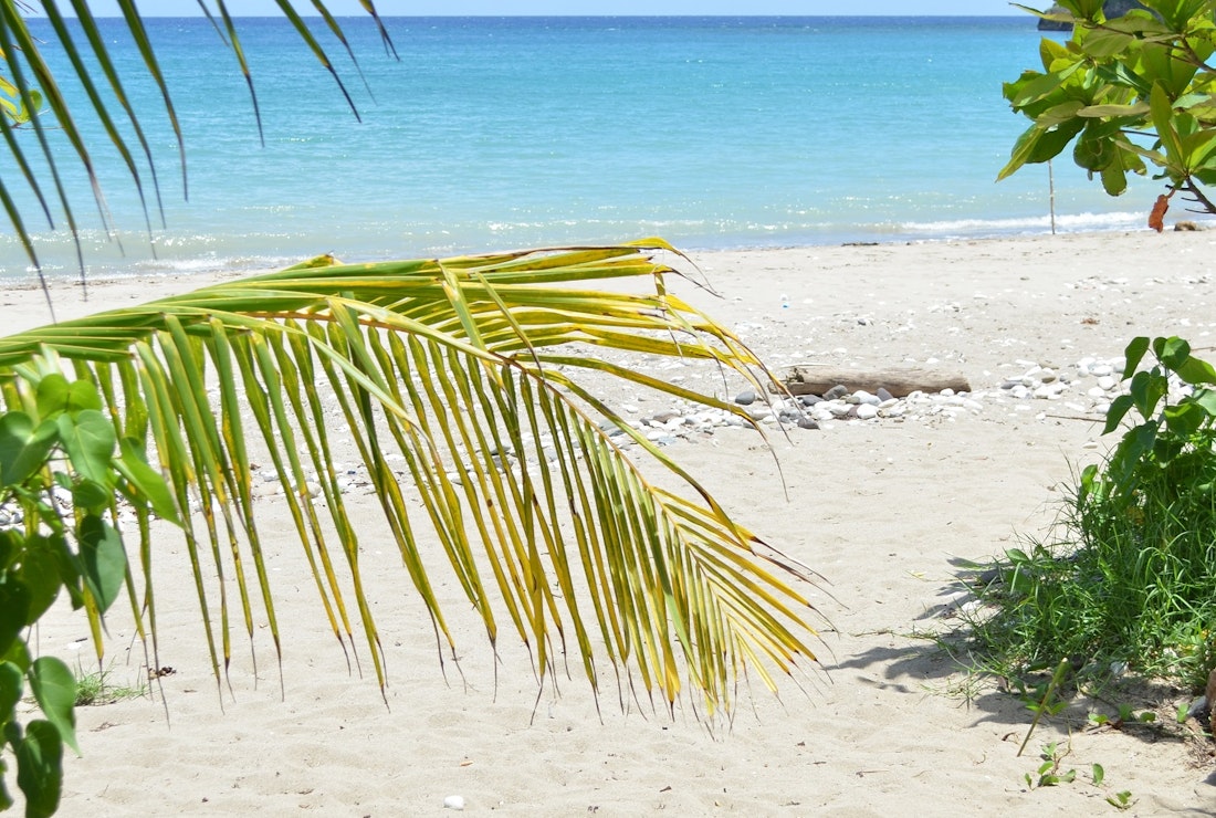 winifred beach_jamaica_BEST OF JAMAICA
