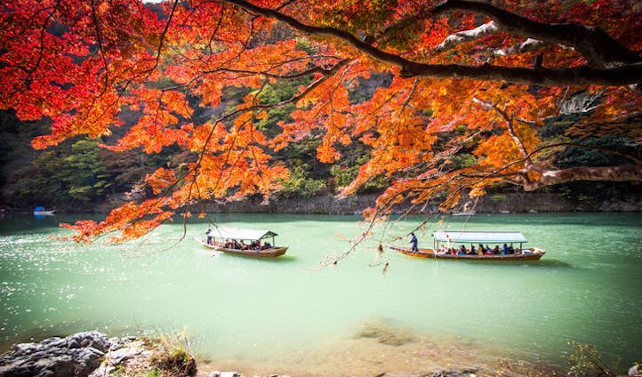 Autumn leaves along the Oi River, Kyoto