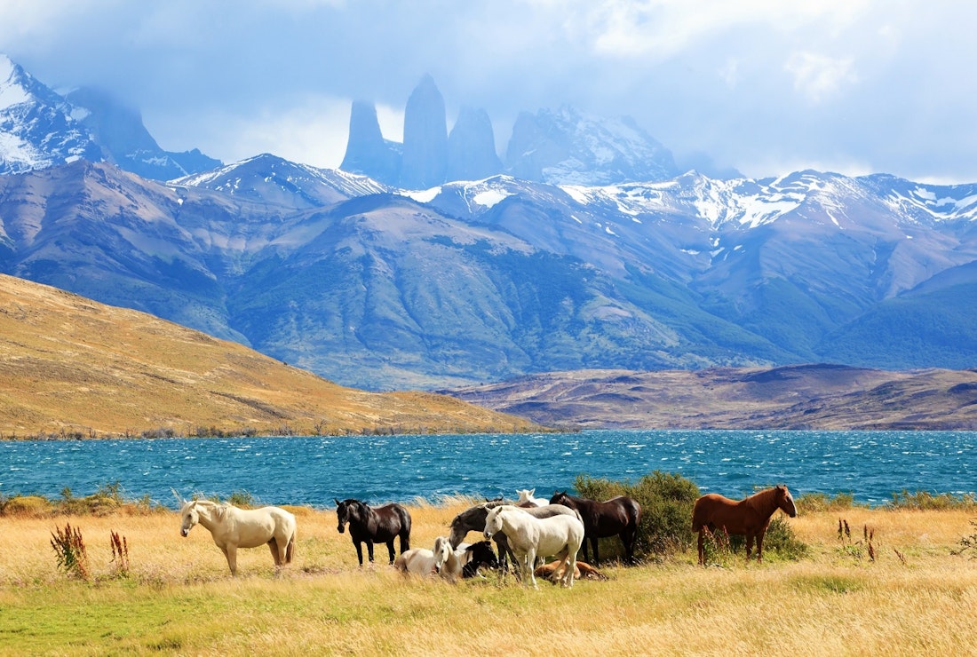 South American Andes. Park Torres del Paine in Chile_shutterstock_221190883