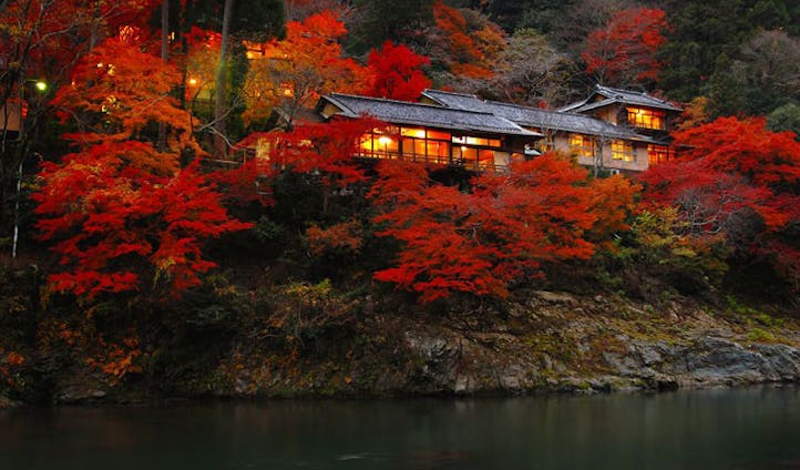 Kyoto's Autumn colours