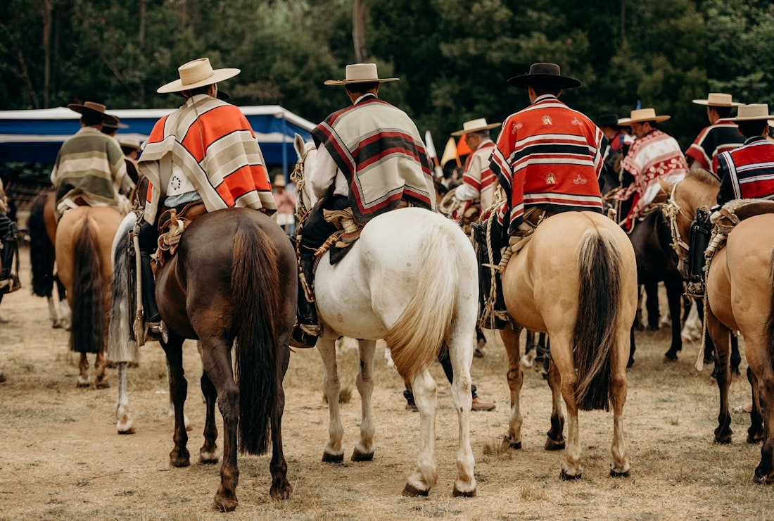 Chilean event hausos horses