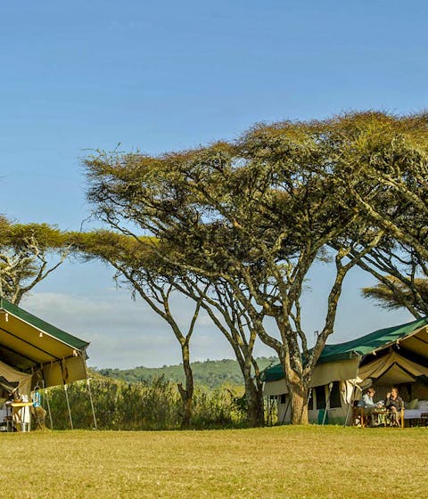 Sanctuary Ngorongoro Crater Camp
