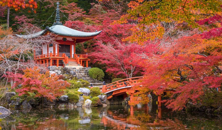 Autumn in Kyoto