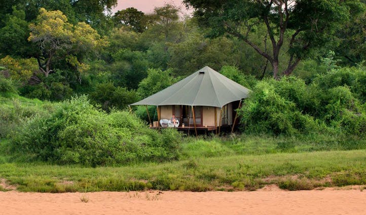 Ngala tented camp