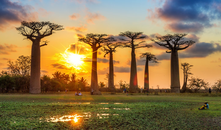 See it All in Madagascar Rainforests Deserted Beaches Black Tomato
