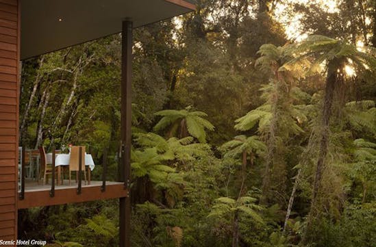 Dine in the treetops