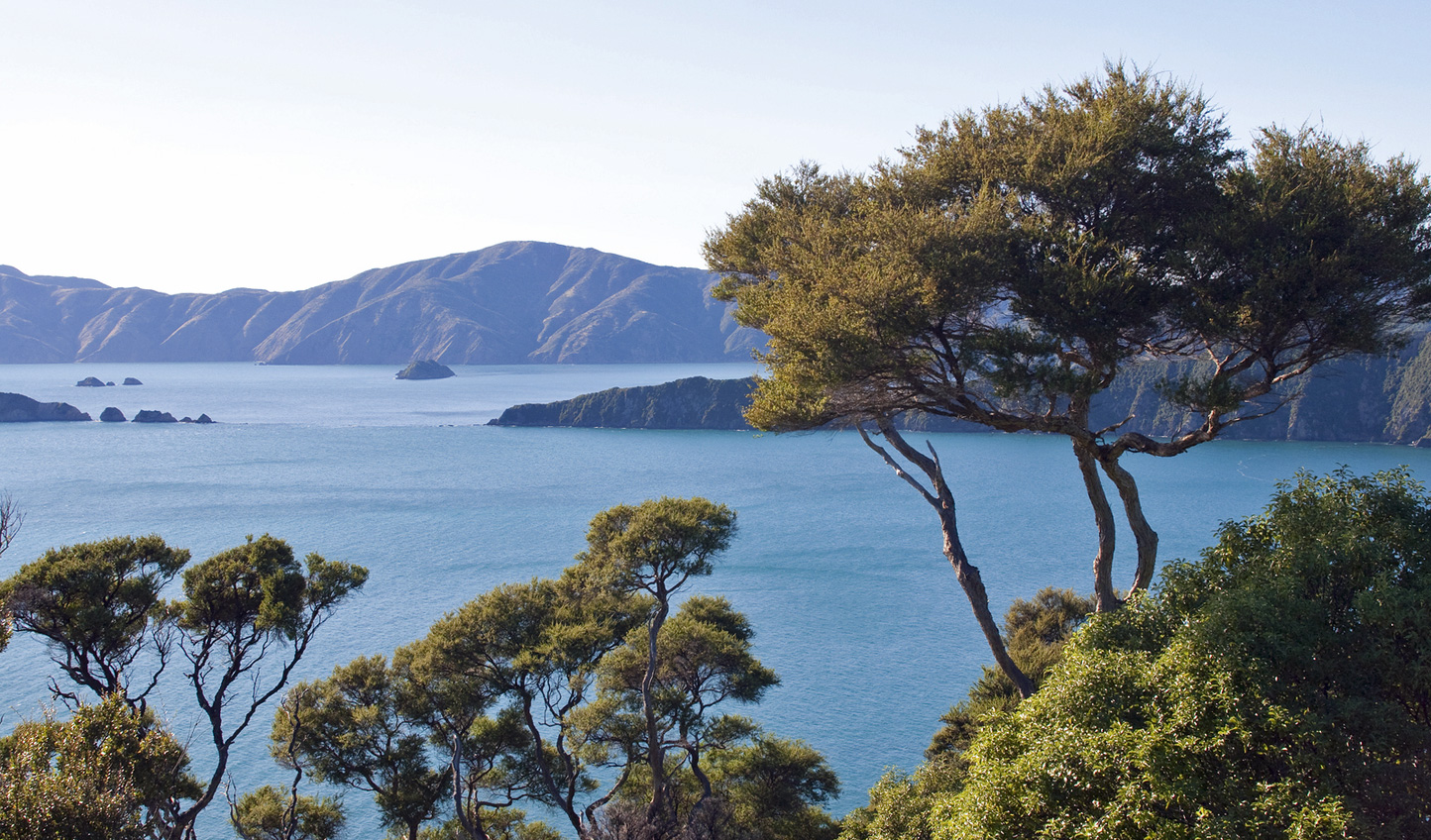 South New Zealand: A Scenic Adventure | Luxury Vacations with