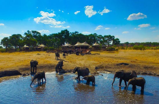 Elephants at the watering hole, Somalisa | Black Tomato