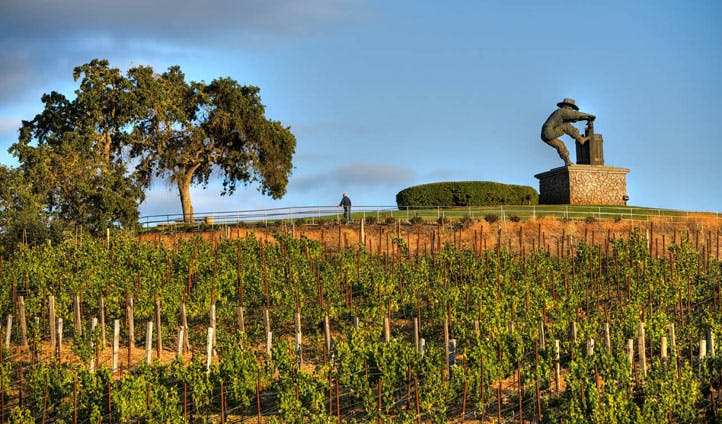 The Meritage Resort's vineyards, Napa Valley
