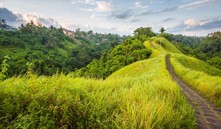 The hills of Ubud