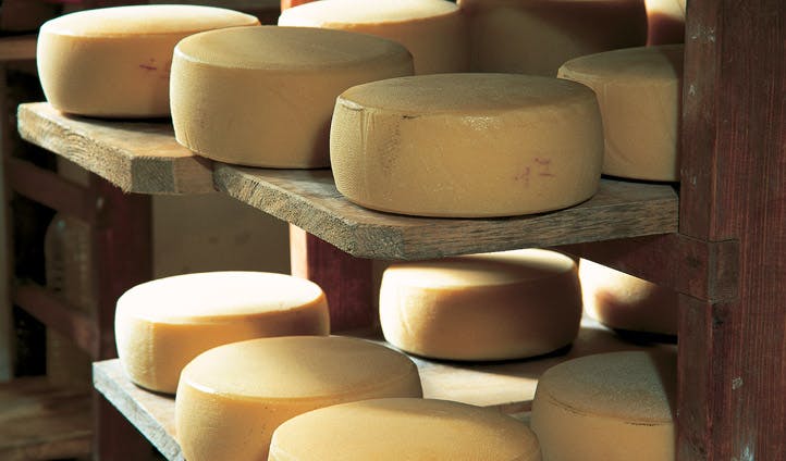 Cheese production in Slovenia