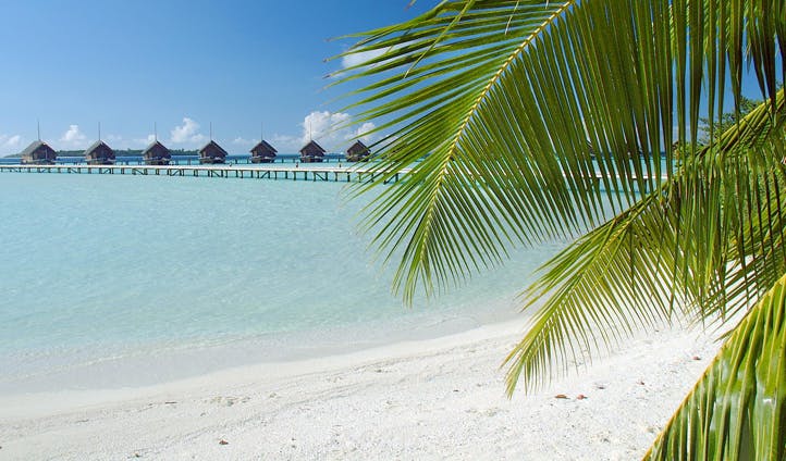 Maldives holidays