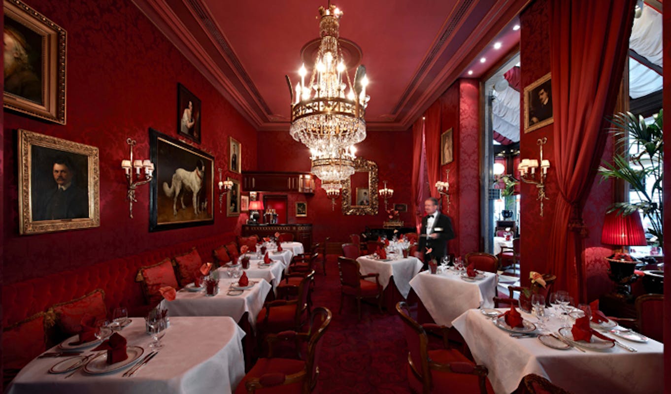 TasteInHotels: Hotel Sacher Vienna: A Historic Luxury Hotel in the Heart of  Europe