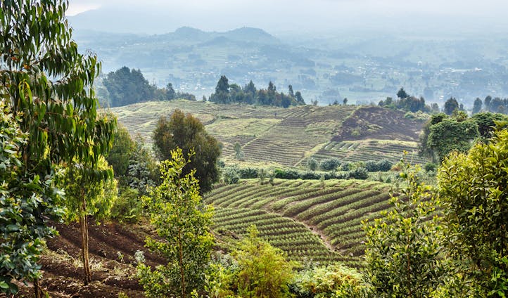 Luxury Holidays in Rwanda