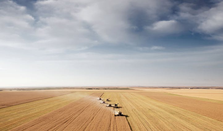 The rolling fields of Gimli, Manitoba