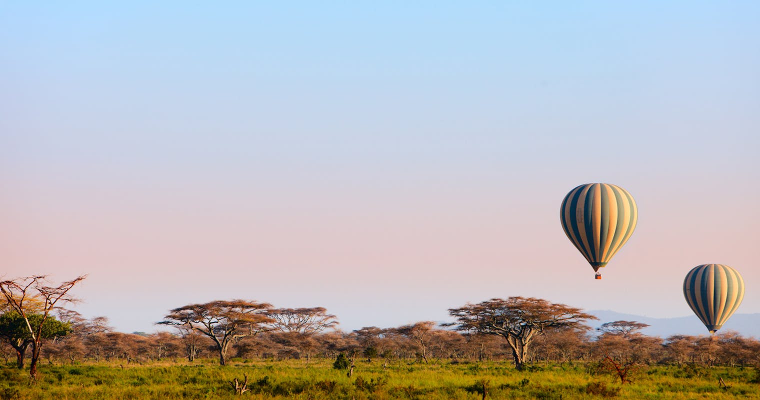 safari kenya depuis zanzibar