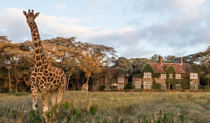 Giraffe Manor | Luxury Vacations in Kenya | Black Tomato