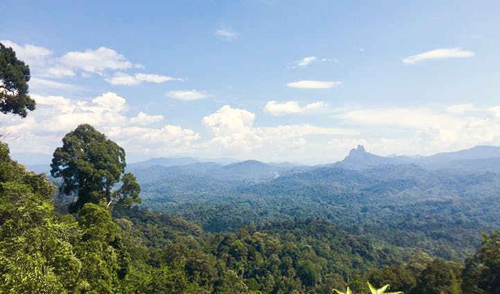 Borneo Trek