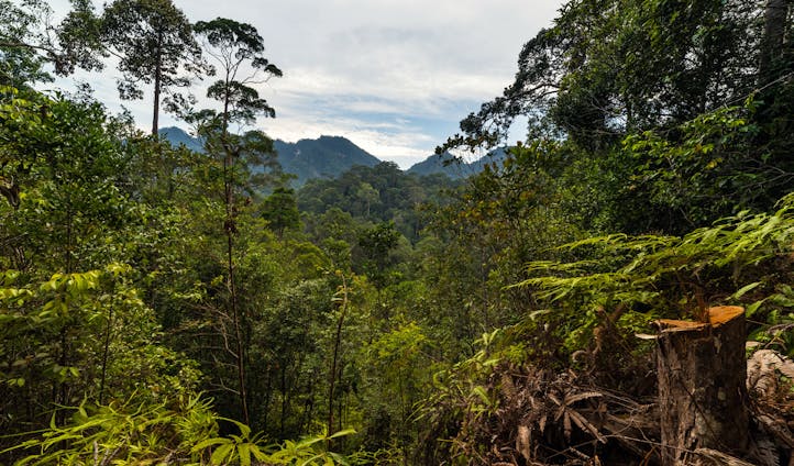 Malaysia: The tribals of Sabah