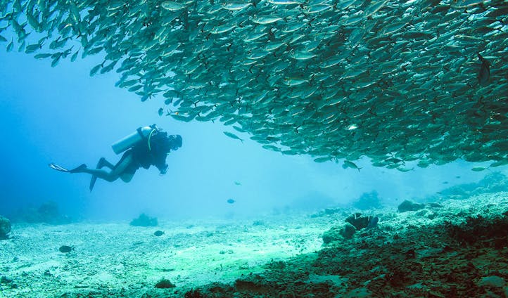 Deep Diving in Raja Ampat