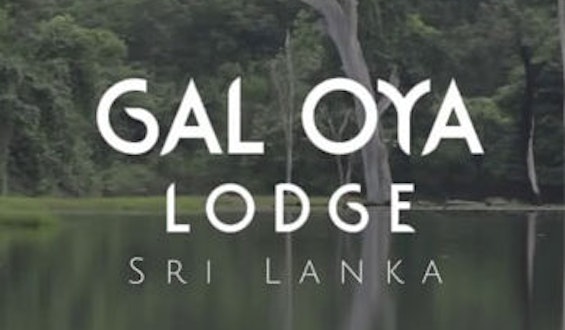 Gal-Oya-Lodge